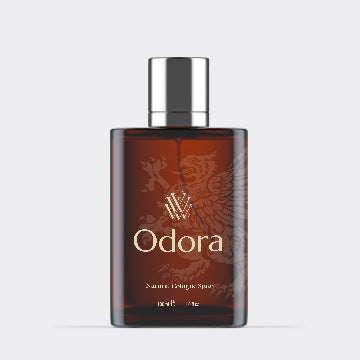 Veloura Amber Night Perfume – 100ml (Women)